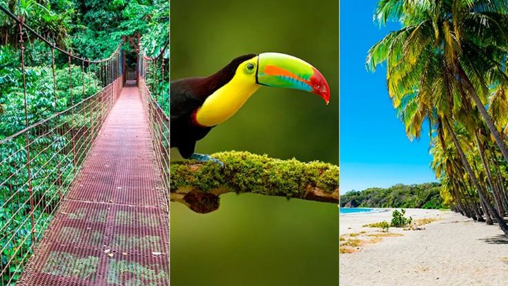 Costa_Rica_Especial_2025